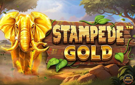 Stampede Gold - Hold & Win